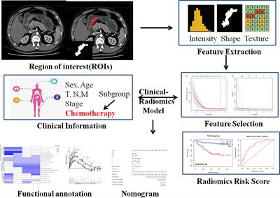 Integrative Radiogenomics Approach for Risk Assessment of Postoperative and Adjuvant Chemotherapy Benefits for Gastric Cancer Patients